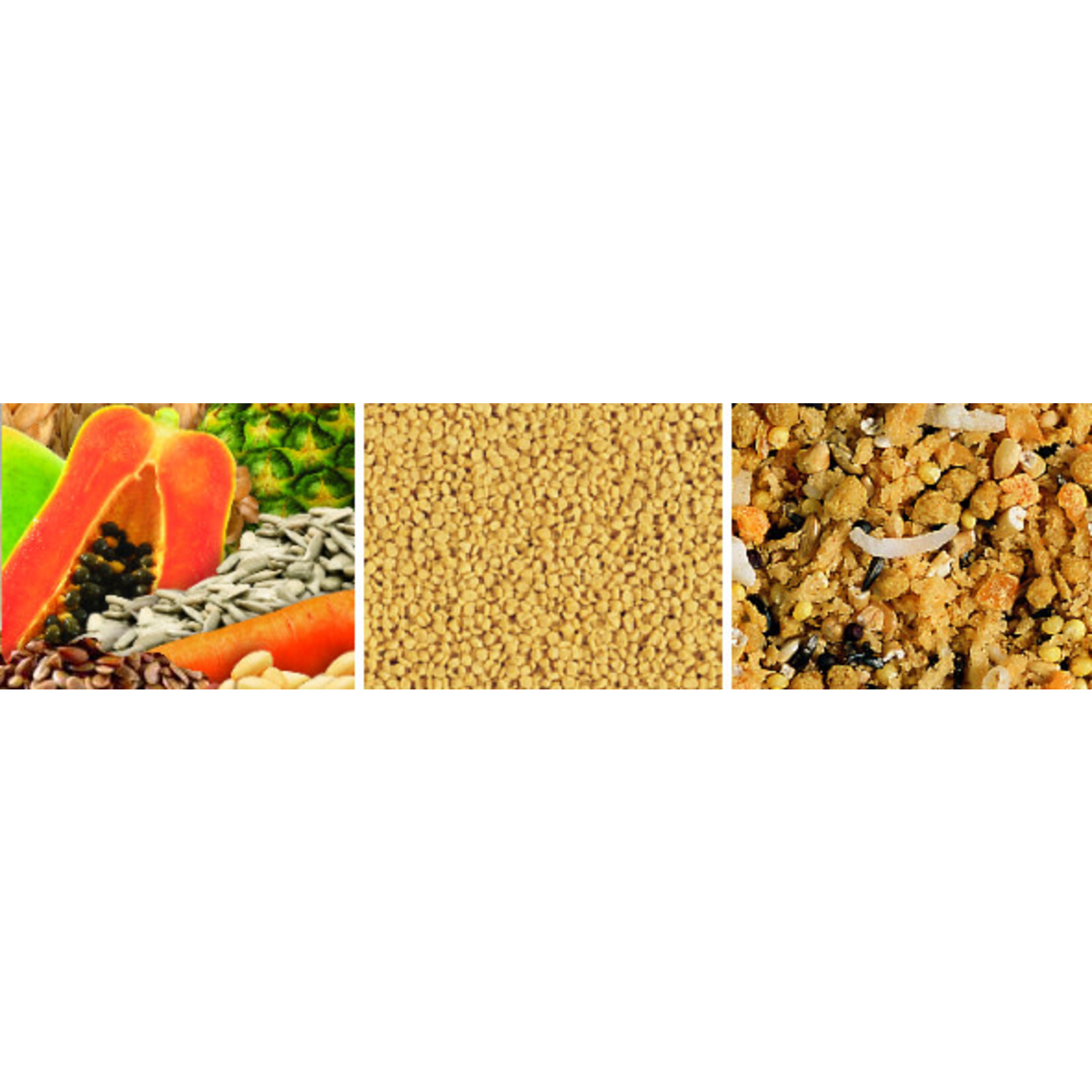 Hagen Hagen Tropimix Egg Food Mix (1lb) 314