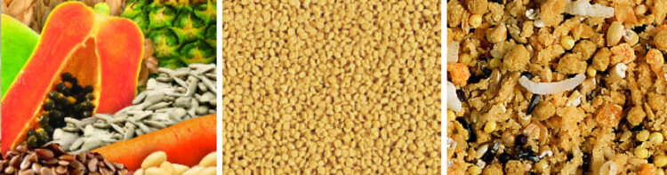 Hagen Hagen Tropimix Egg Food Mix (1lb) 314