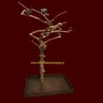 Kings Cages Kings Cages Java  Playstand S-161 40"x24"x70""