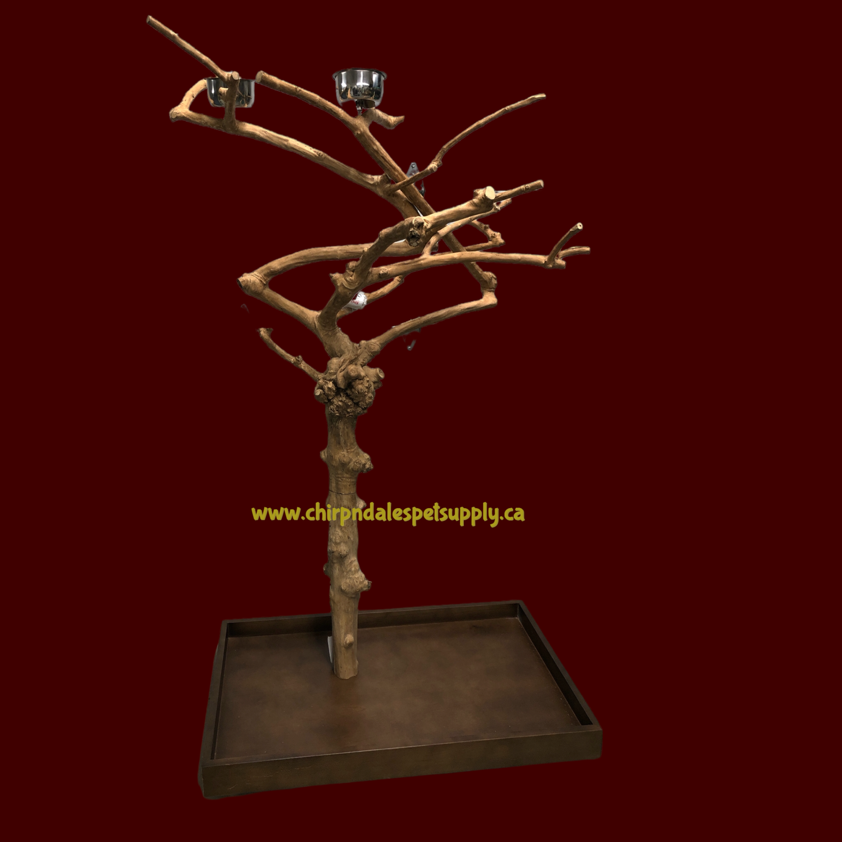 Kings Cages Kings Cages Java  Playstand S-161 40"x24"x70""