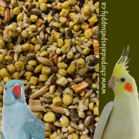 Custom Small Hookbill Blend – Nutritious Daily Bird Food