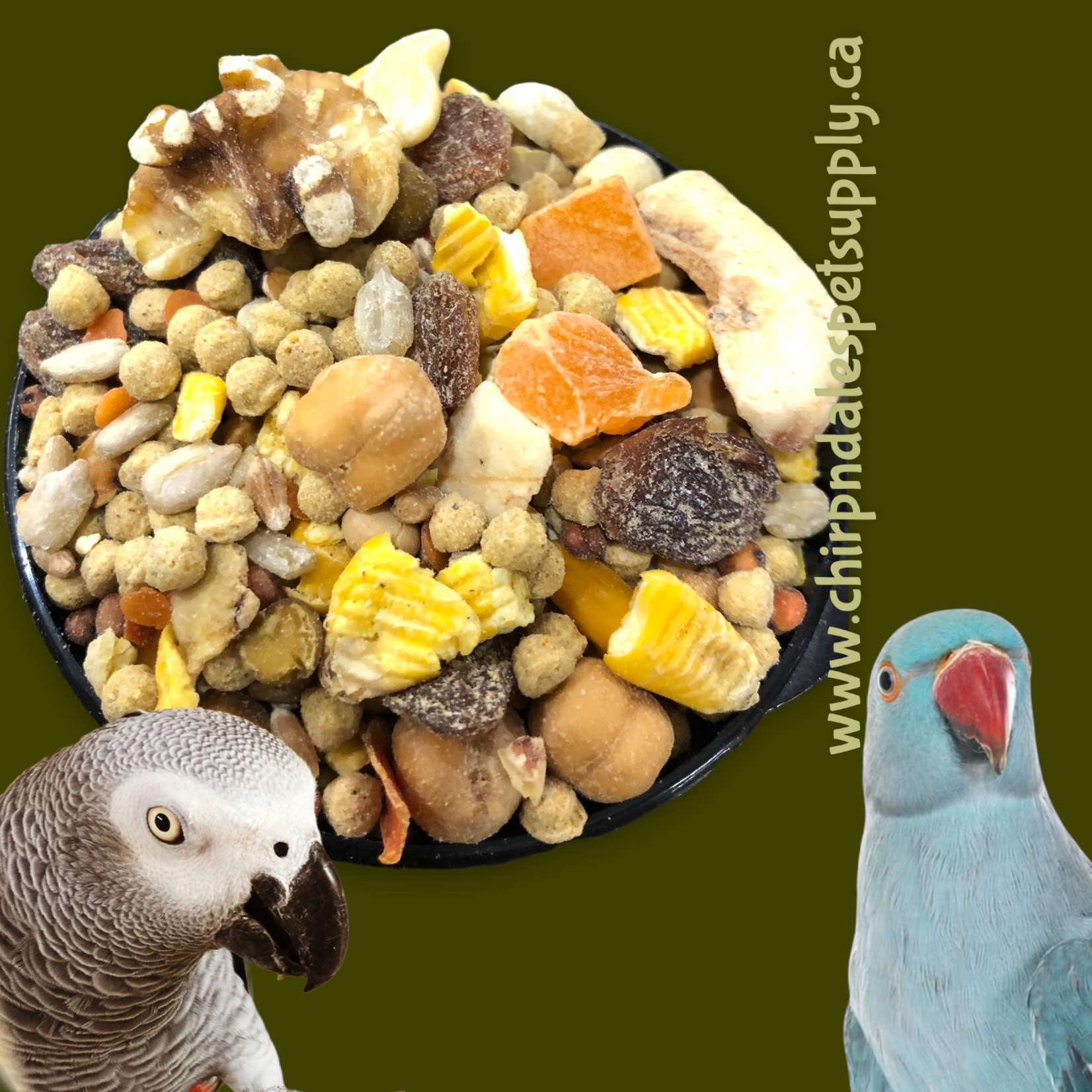 Hagen Hagen Tropimix Small Parrot (1 lb)  189 TRY ME SAMPLE SIZE