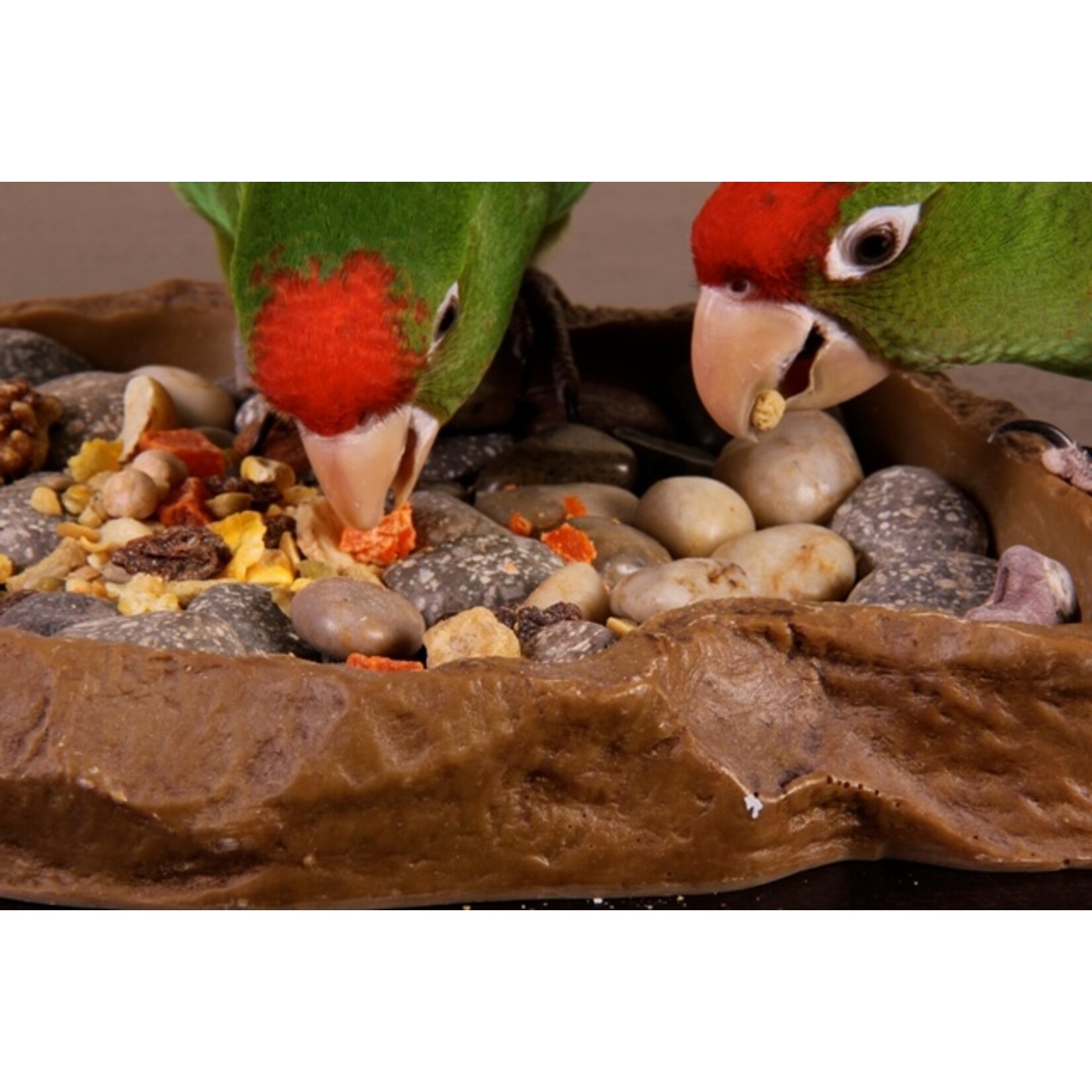 Hagen Hagen Tropimix Small Parrot (1 lb)  189 TRY ME SAMPLE SIZE