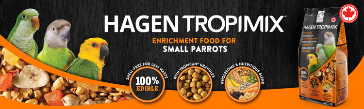 Tropimix Hagen Tropimix  for Small Parrots 80644 (20lb)