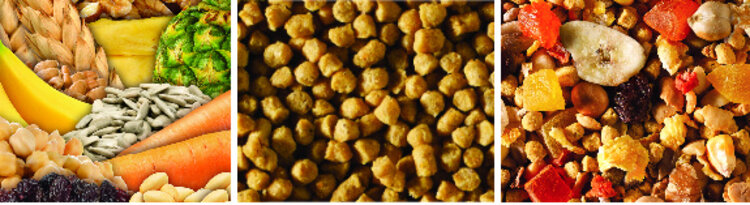 Tropimix Hagen Tropimix  for Small Parrots 80644 (20lb)