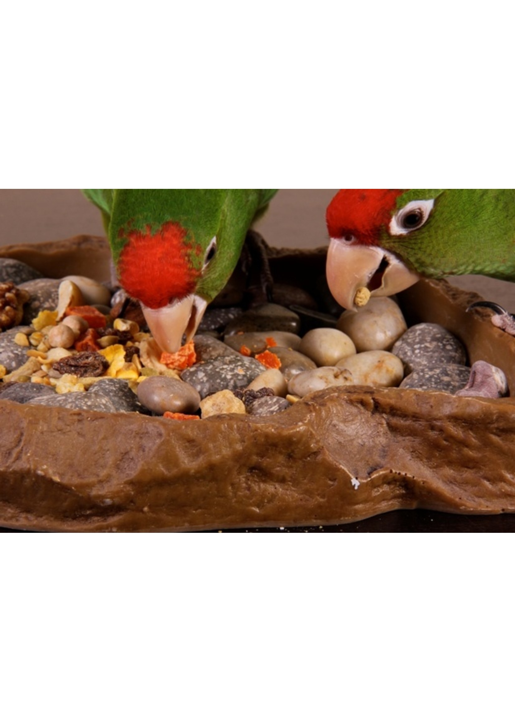 Hagen Tropimix for Small Parrots (20lb) Chirp N Dales Pet Supply