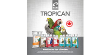 Tropican