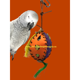 Kings Cages Kings Cages Foraging Foam Football