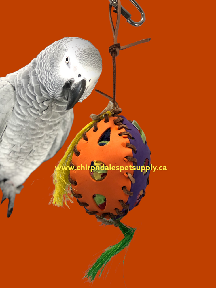 Kings Cages Kings Cages Foraging Foam Football