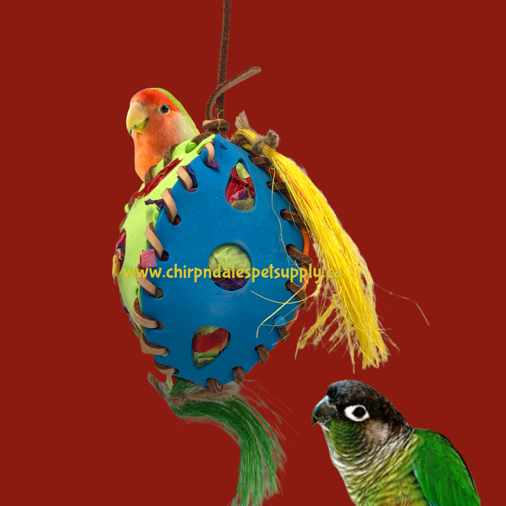 Kings Cages Kings Cages Foraging Foam Football