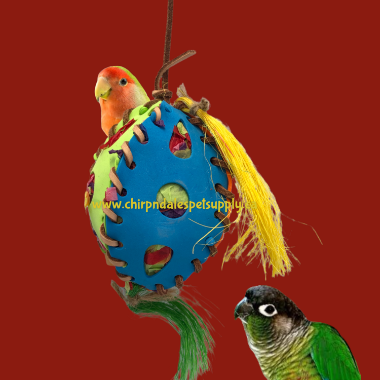 Kings Cages Kings Cages Foraging Foam Football