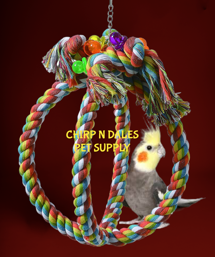 Jolly Jungle Jolly Jungle Large Atom Parrot Swing A852-3