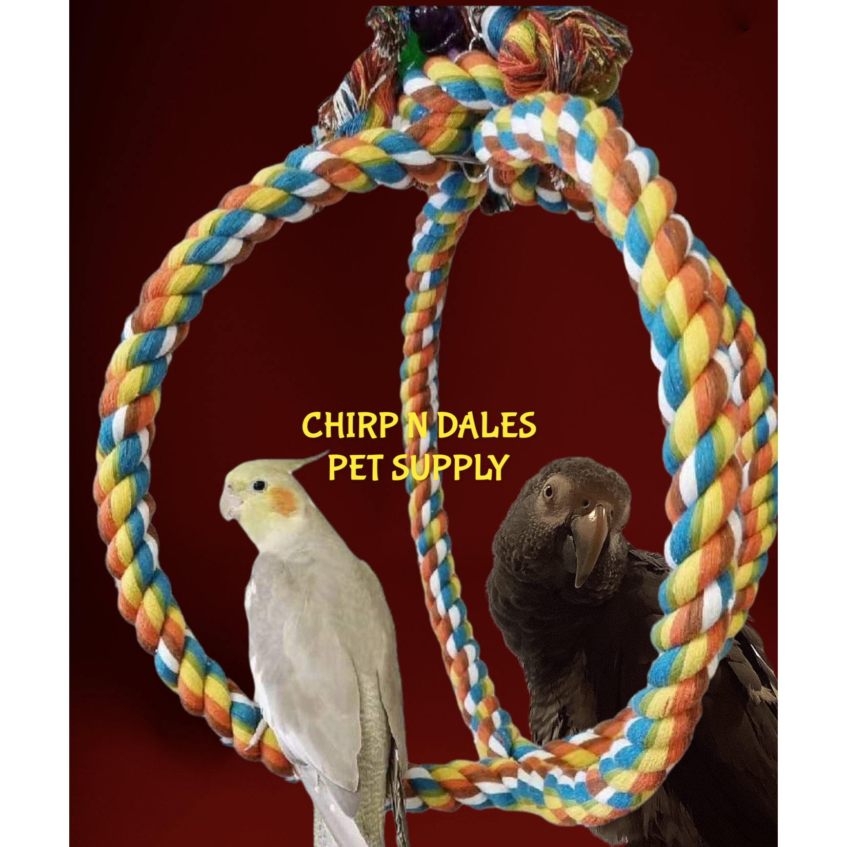 Jolly Jungle Jolly Jungle Large Atom Parrot Swing A852-3