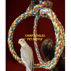 Jolly Jungle Jolly Jungle Large Atom  Parrot Swing A852-3