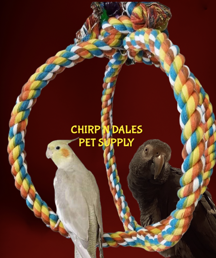 Jolly Jungle Jolly Jungle Large Atom Parrot Swing A852-3