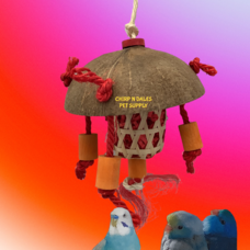 Jolly Jungle Jolly Jungle Chinese Lantern