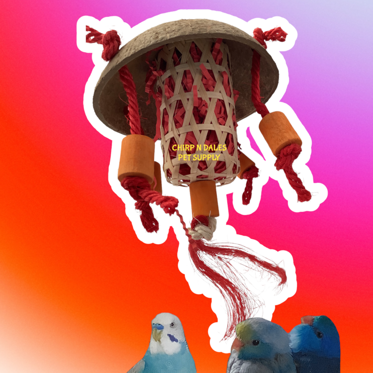 Jolly Jungle Jolly Jungle Chinese Lantern