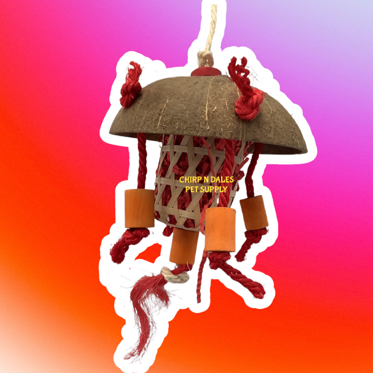 Jolly Jungle Jolly Jungle Chinese Lantern