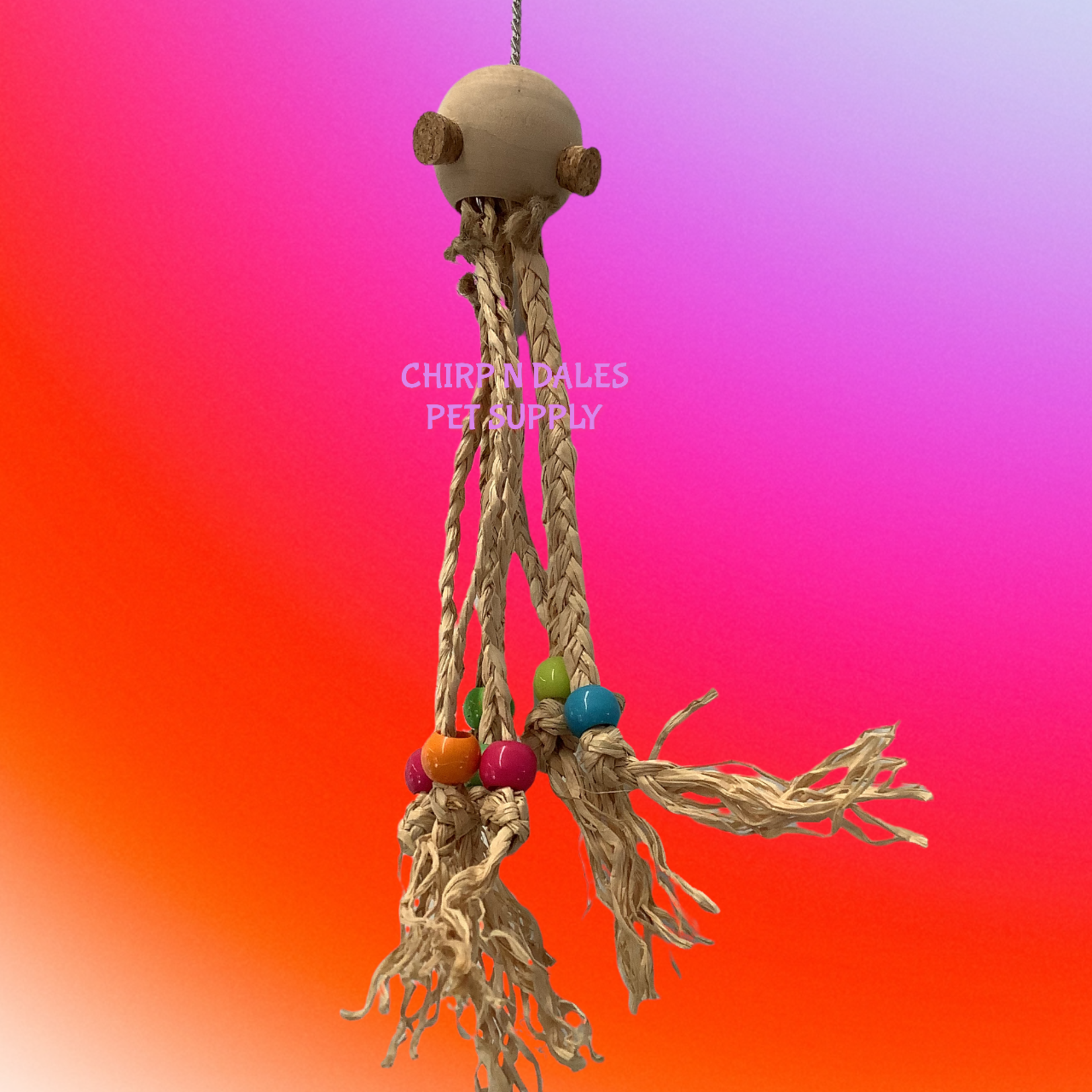 Jolly Jungle Jolly Jungle Octopus