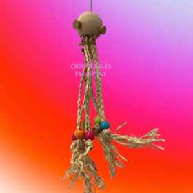 Jolly Jungle Jolly Jungle Octopus