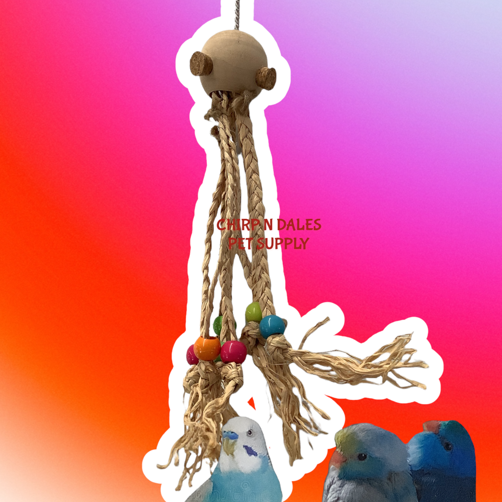 Jolly Jungle Jolly Jungle Octopus