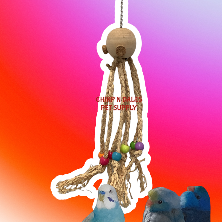 Jolly Jungle Jolly Jungle Octopus