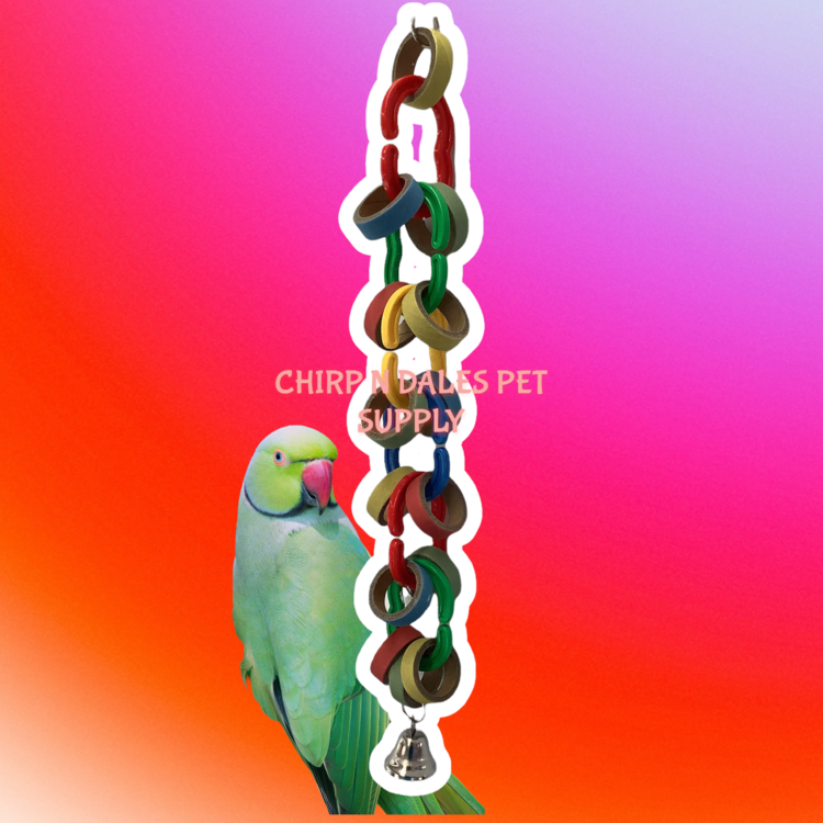 Jolly Jungle Jolly Jungle Hoopla