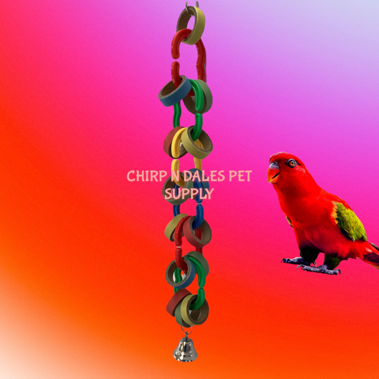 Jolly Jungle Jolly Jungle Hoopla