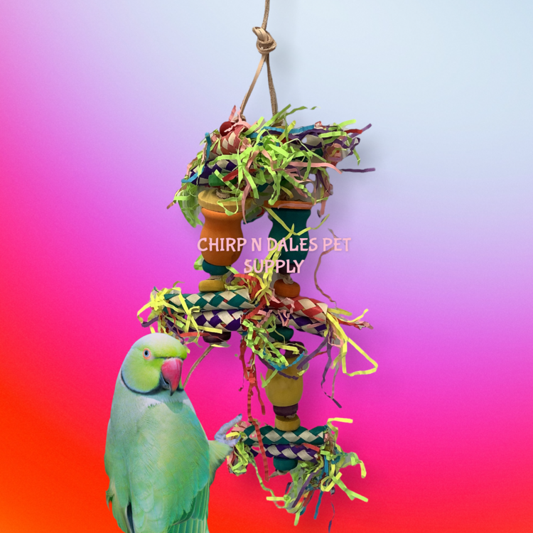 Jolly Jungle Jolly Jungle Candle Cup Feast A641