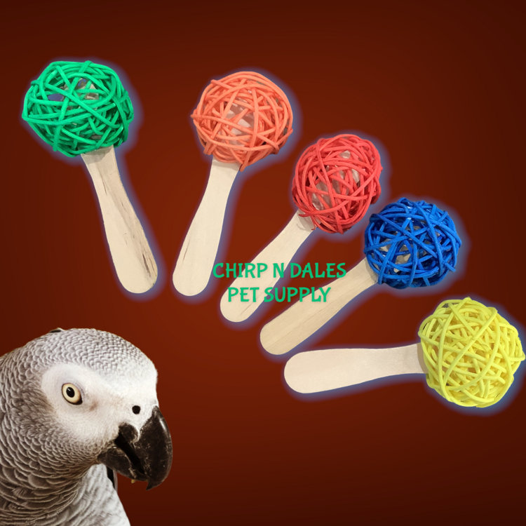 Jolly Jungle Popsicle Foot Toy