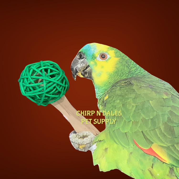 Jolly Jungle Popsicle Foot Toy