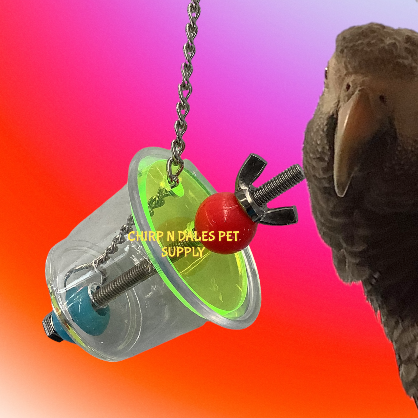 Jolly Jungle Jolly Jungle Locked Up Loot  Foraging Toy