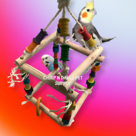 Jolly Jungle Jolly Jungle All Natural Hanging Cube