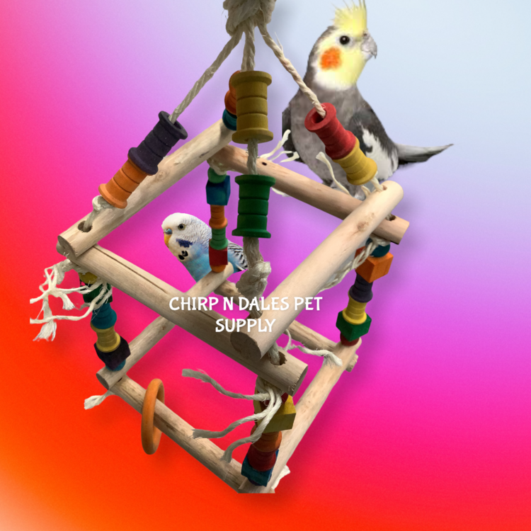 Jolly Jungle Jolly Jungle All Natural Hanging Cube