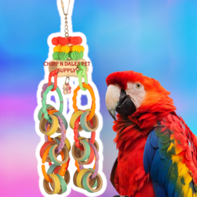 Kings Cages Kings Cages Round Cardboard bagels with colorful plastic rings and pipe