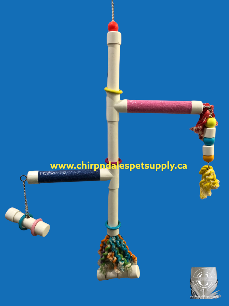 Kings Cages Kings Cages  Swinging PVC  Perch with Plastic Pipe