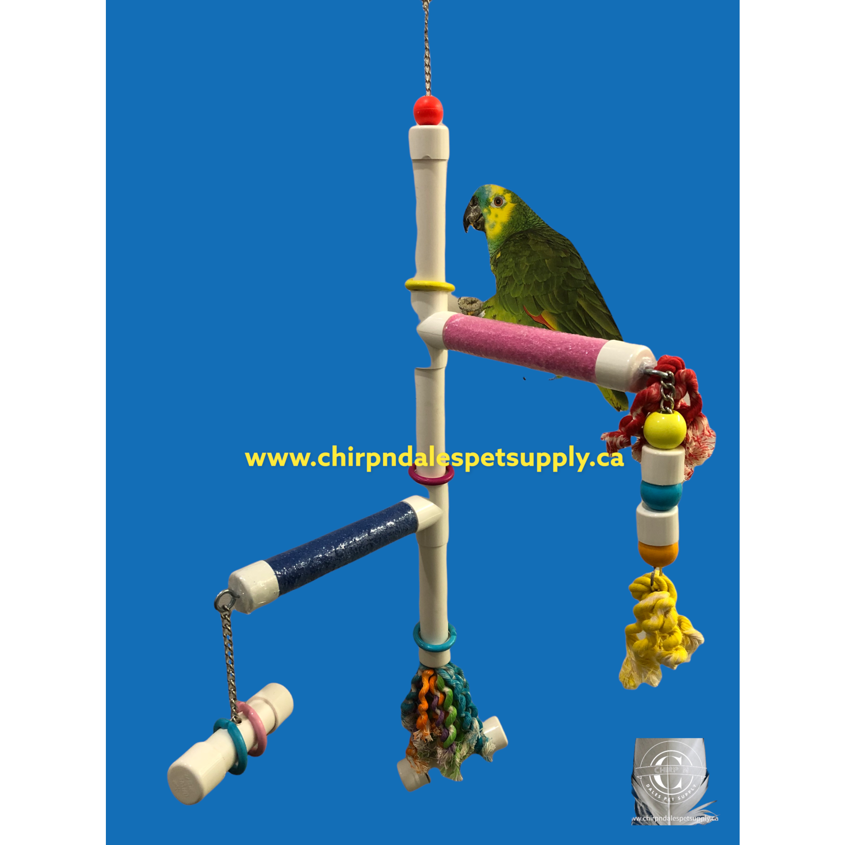 Kings Cages Kings Cages  Swinging PVC  Perch with Plastic Pipe
