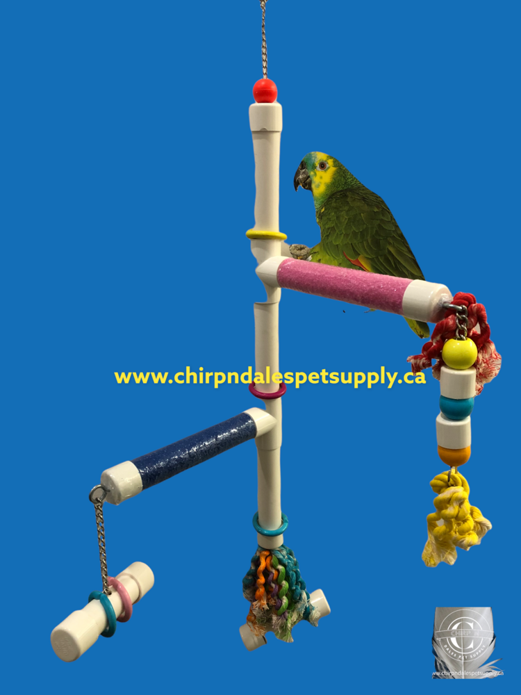 Kings Cages Kings Cages  Swinging PVC  Perch with Plastic Pipe