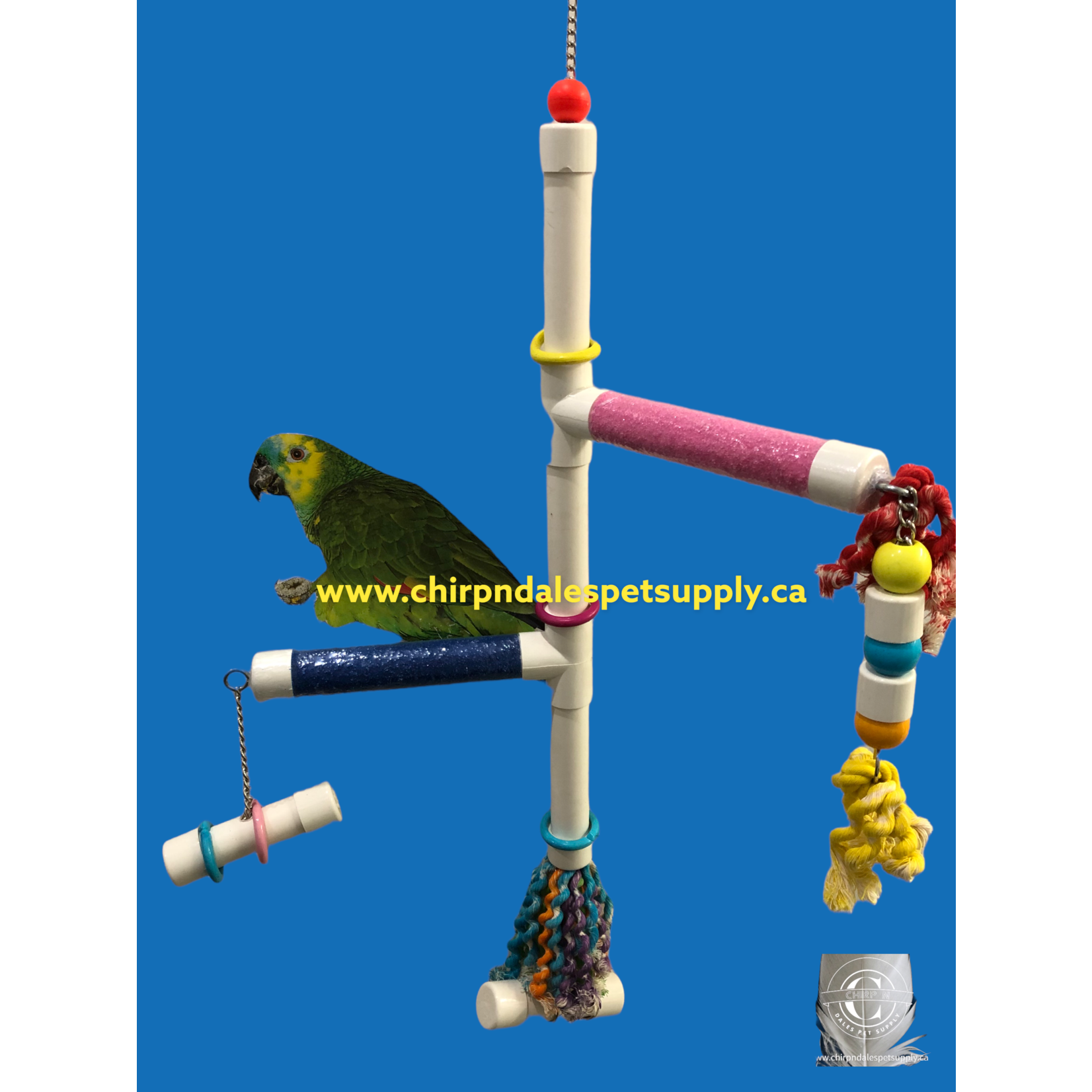 Kings Cages Kings Cages  Swinging PVC  Perch with Plastic Pipe