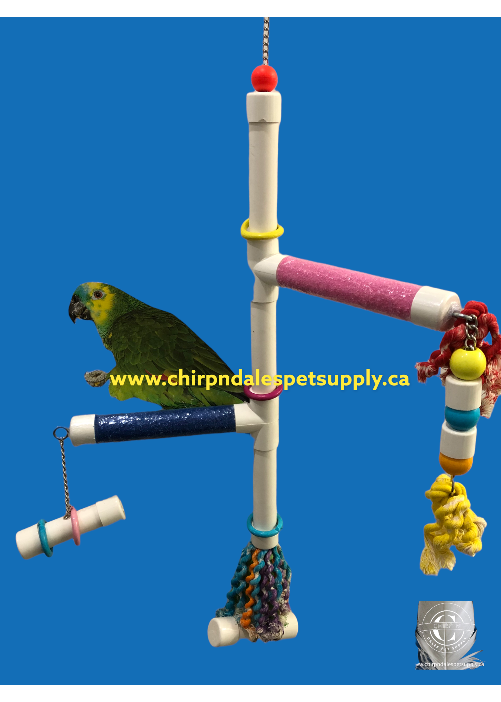 Kings Cages Kings Cages  Swinging PVC  Perch with Plastic Pipe