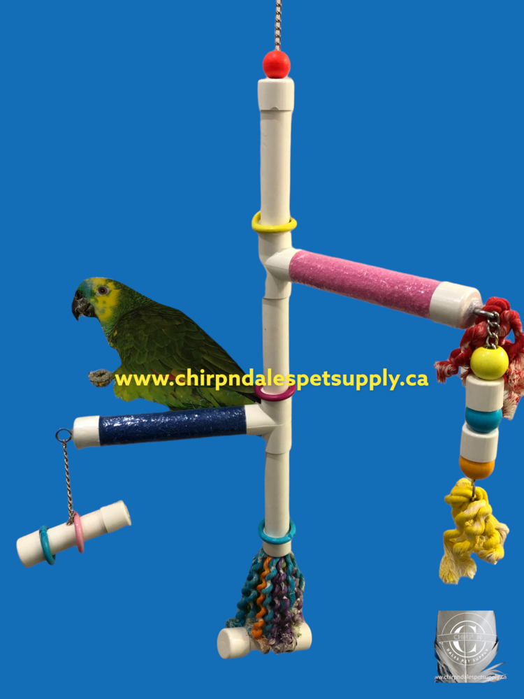 Kings Cages Kings Cages  Swinging PVC  Perch with Plastic Pipe