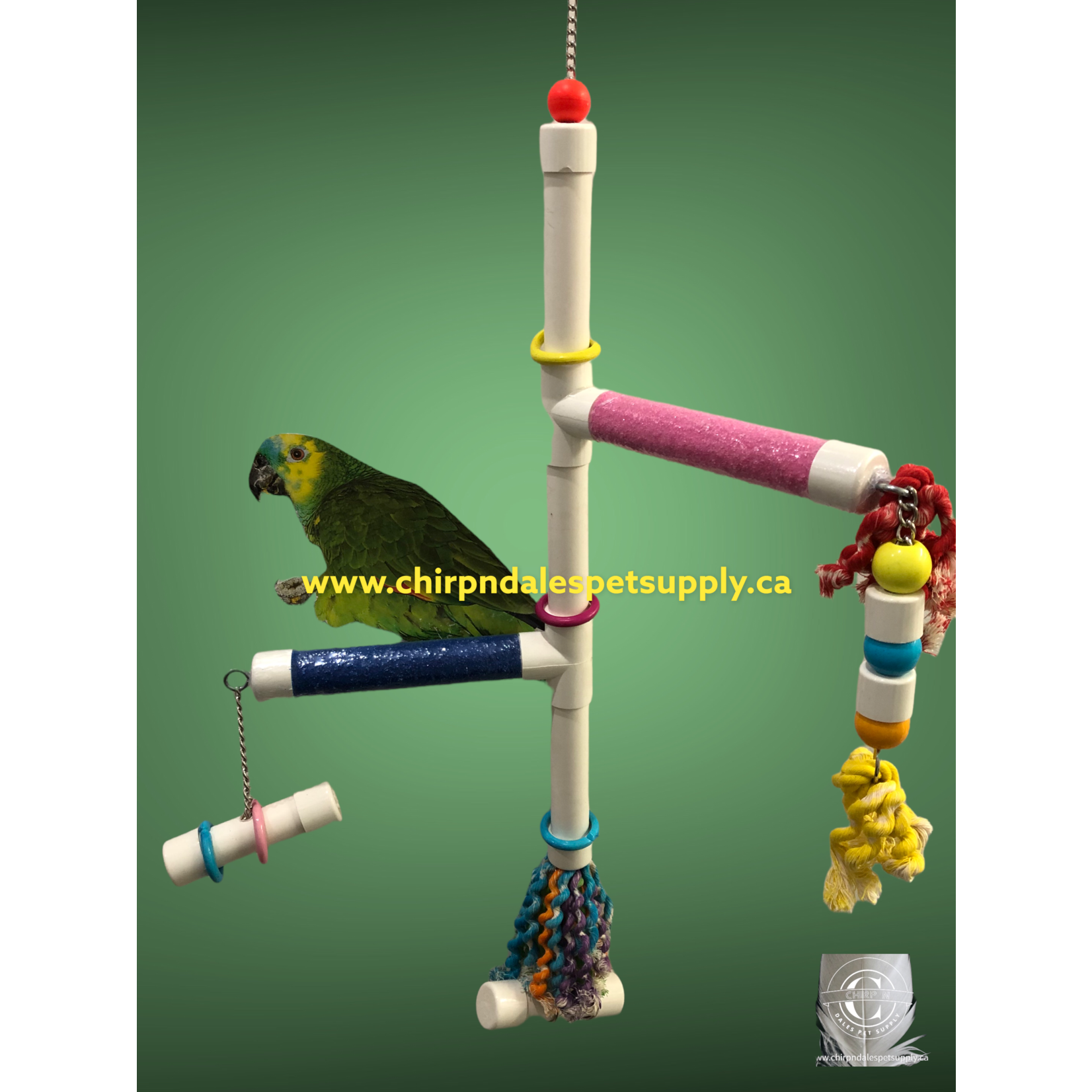 Kings Cages Kings Cages  Swinging PVC  Perch with Plastic Pipe