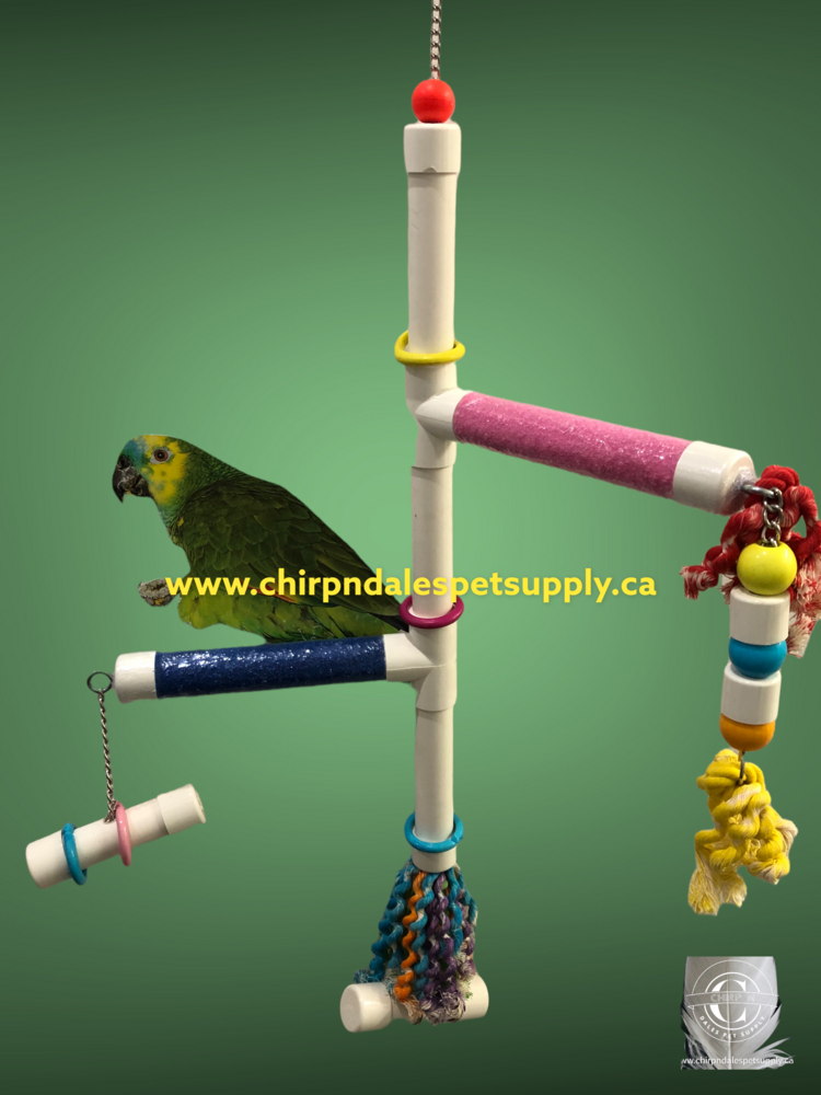 Kings Cages Kings Cages  Swinging PVC  Perch with Plastic Pipe
