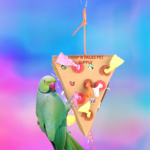 Kings Cages Kings Cages Single Large Slice of Foraging Pizza