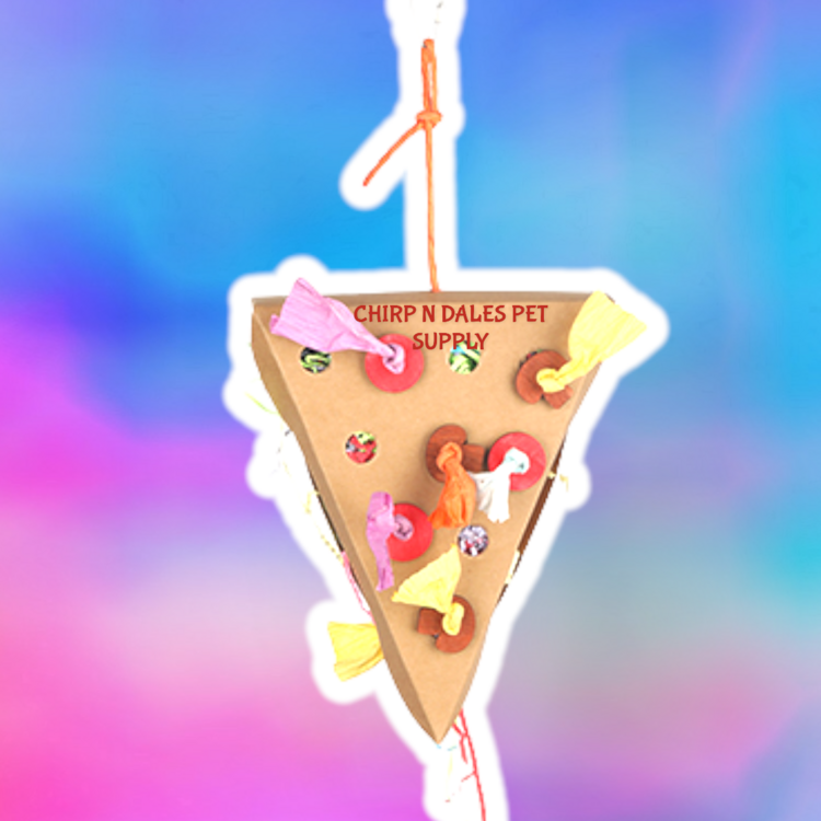 Kings Cages Kings Cages Single Large Slice of Foraging Pizza