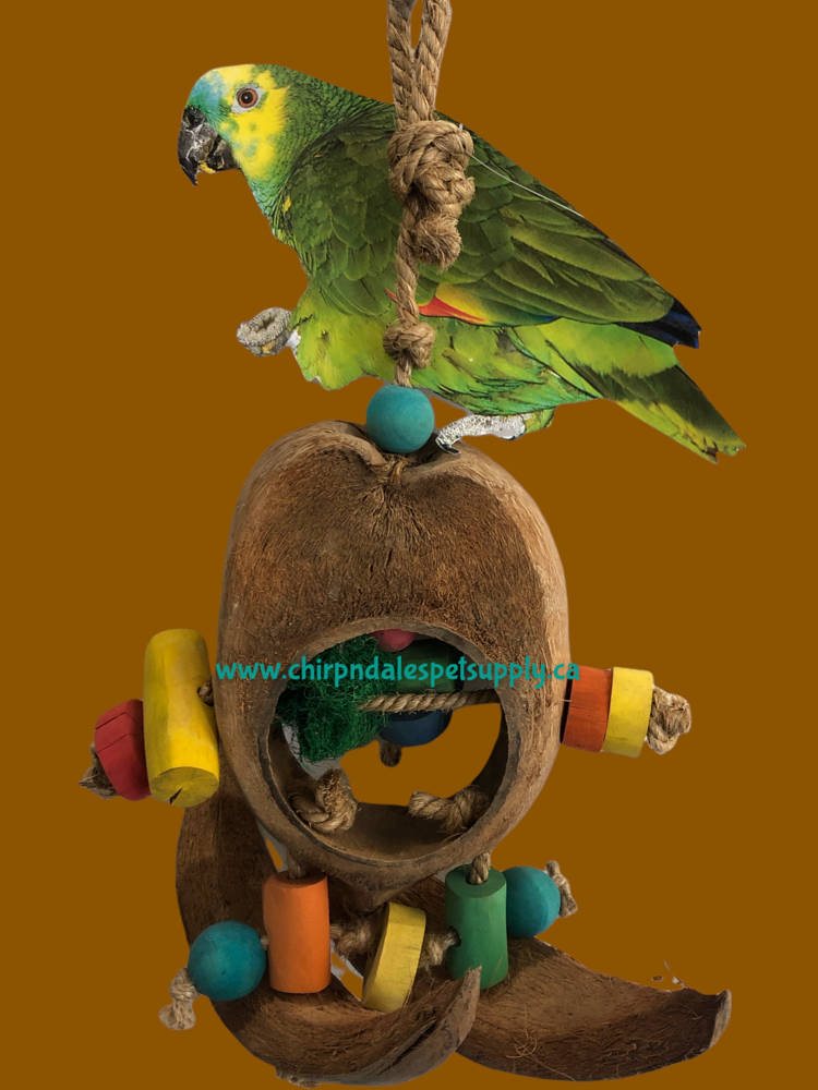 Kings Cages Kings Cages Coco Surf with Rope