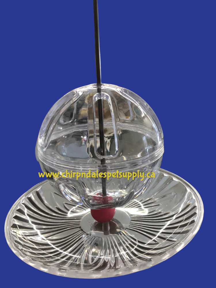 Kings Cages Kings Cages Round Hanging Foraging Feeding Station