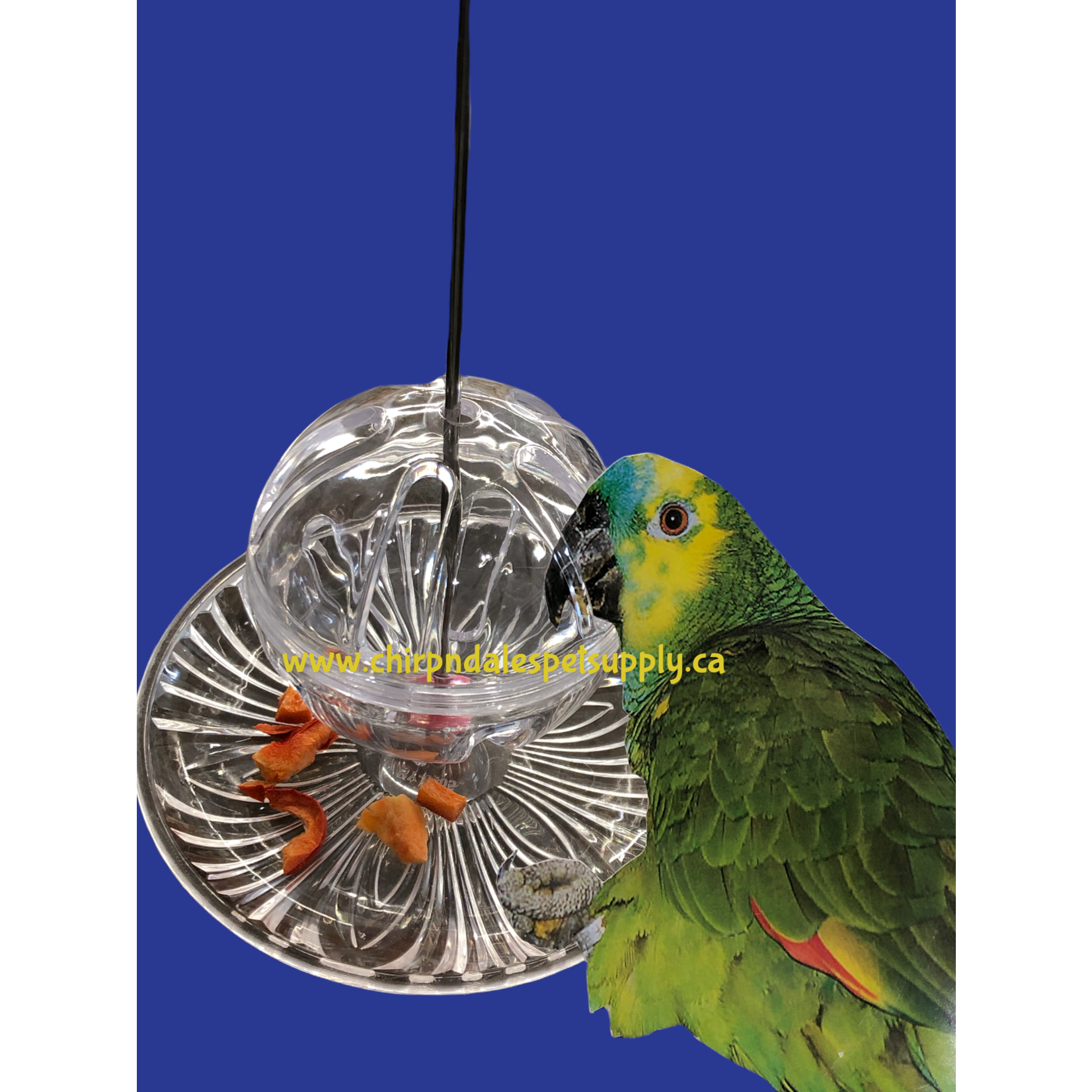 Kings Cages Kings Cages Round Hanging Foraging Feeding Station