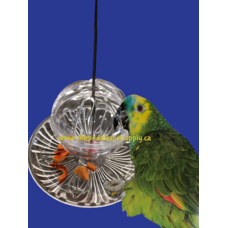 Kings Cages Kings Cages Round Hanging Foraging Feeding Station