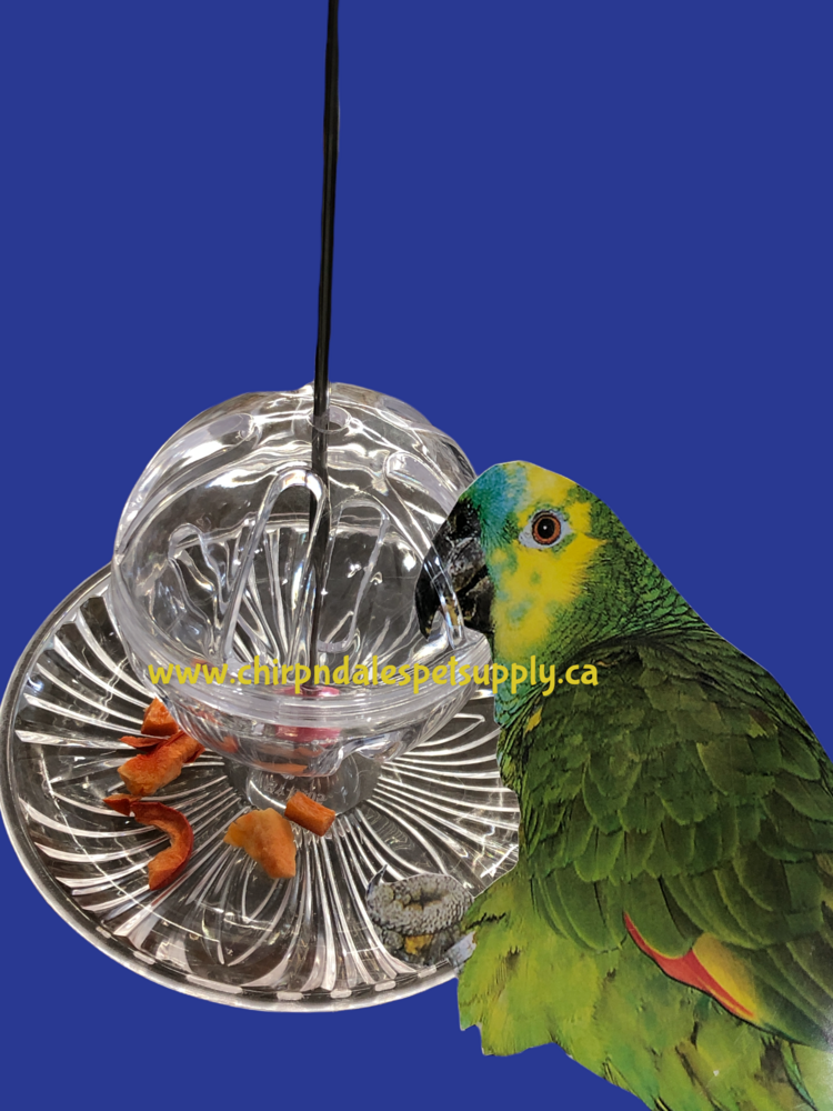 Kings Cages Kings Cages Round Hanging Foraging Feeding Station